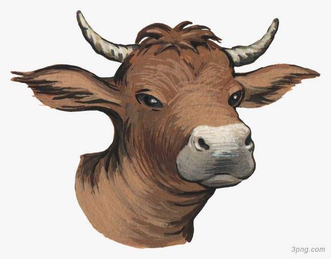 吉林市舒蘭市天德鄉(xiāng)反芻技術(shù)交流會(huì)圓滿成功！